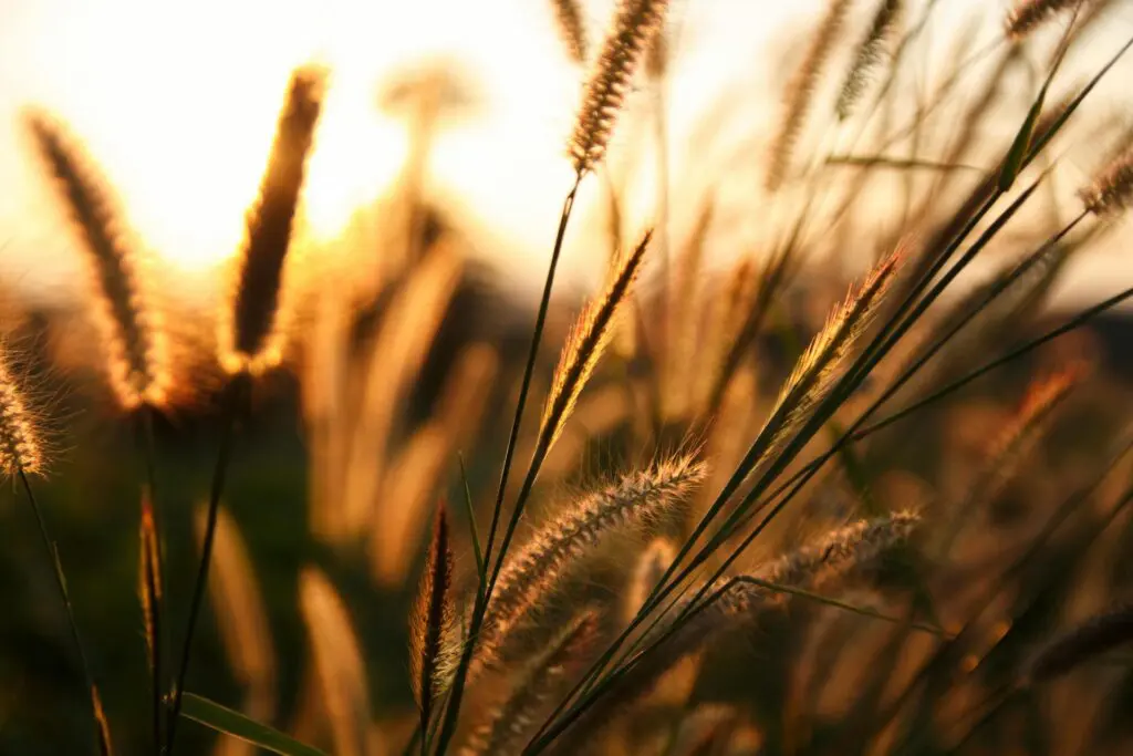 Verse of the Day Ephesians 4 32 with Dave Miers