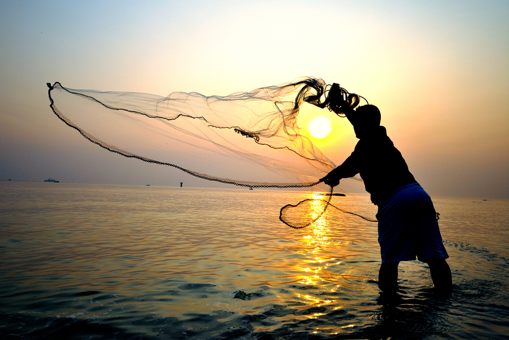 Casting the net