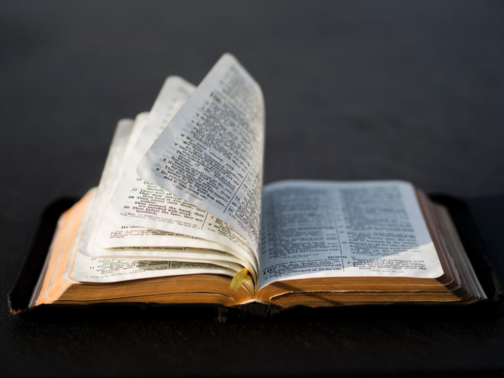 Did Jesus Fulfil Prophecy?