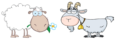 GUWG-Sheep-Goat