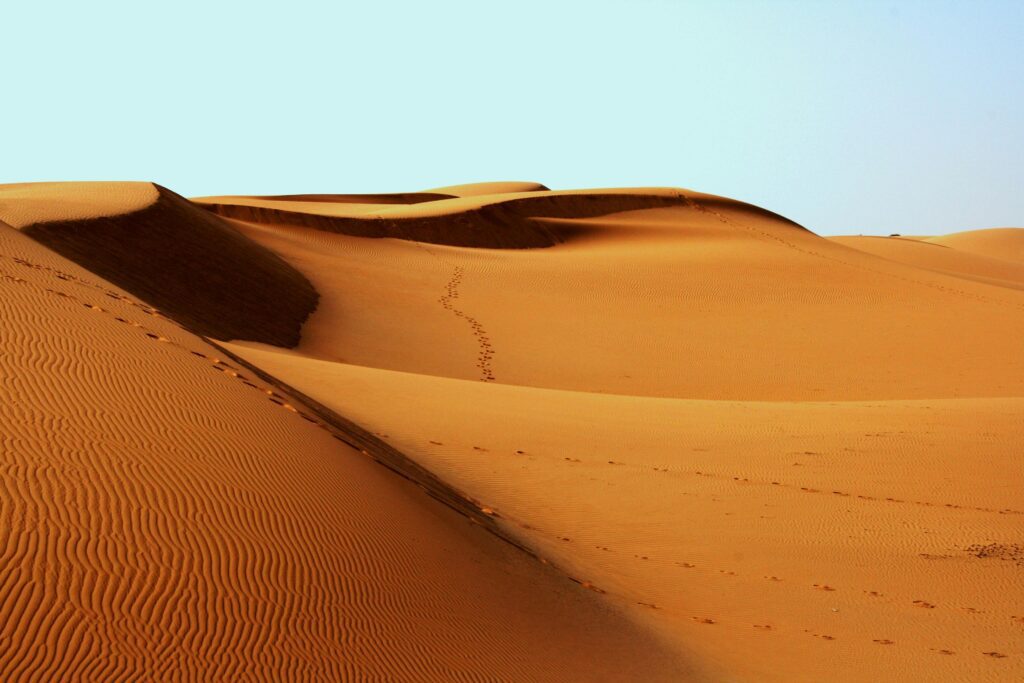 Lessons from Israel’s Wilderness Wanderings