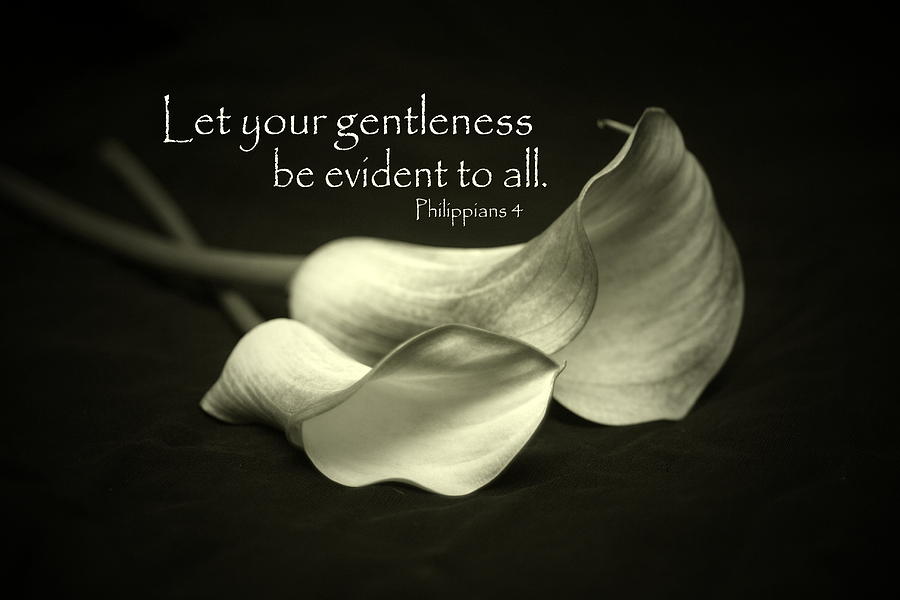 Let your gentleness be evident