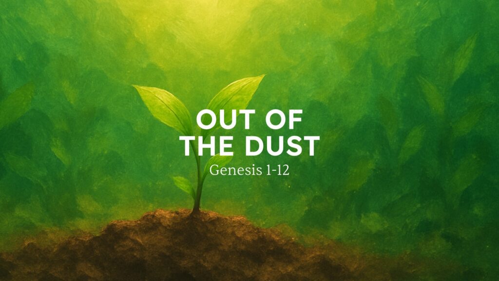 Out of the dust