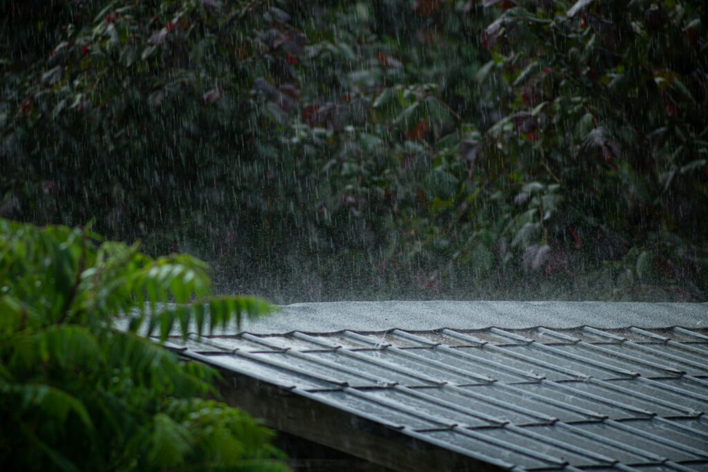 raining in the lounge room Raining in the Lounge Room