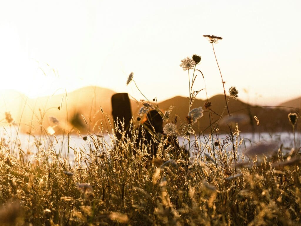 The Body of Christ Offered Once For All