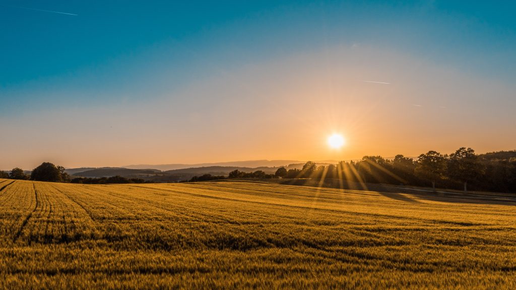 Unlimited: The Parable of the Sower