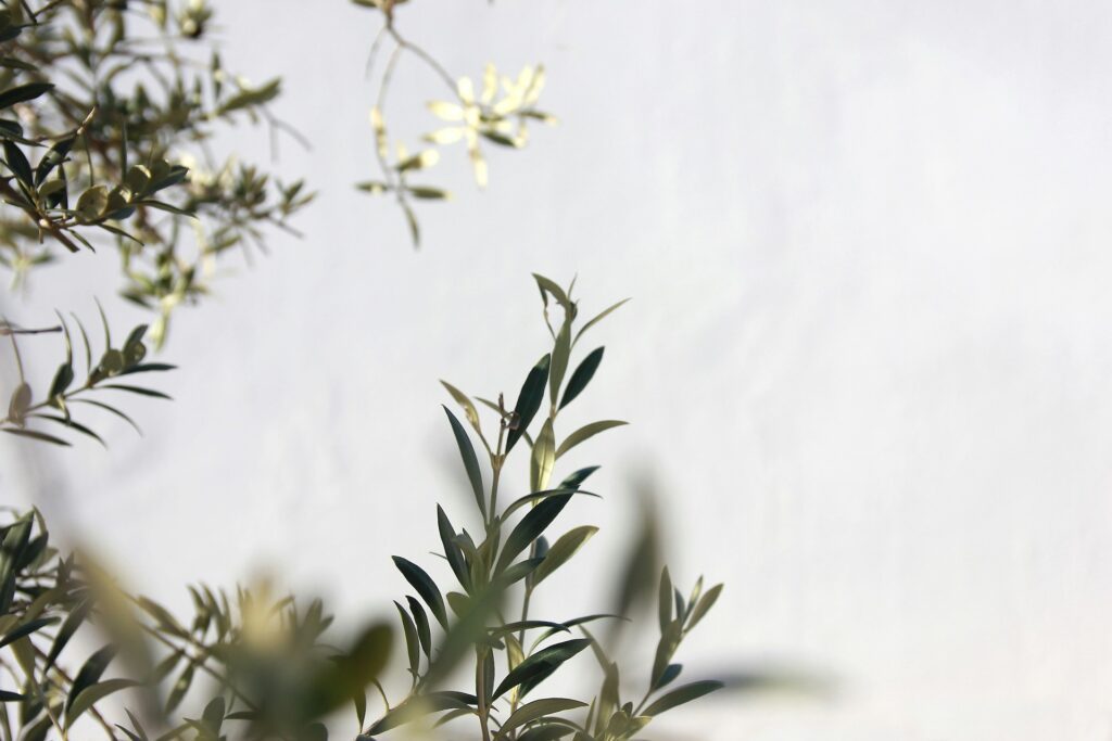 Verse of the Day Ephesians 2 18 with Dave Miers