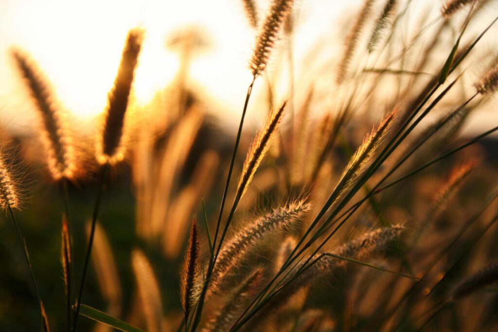 Verse of the Day Ephesians 4 32 with Dave Miers