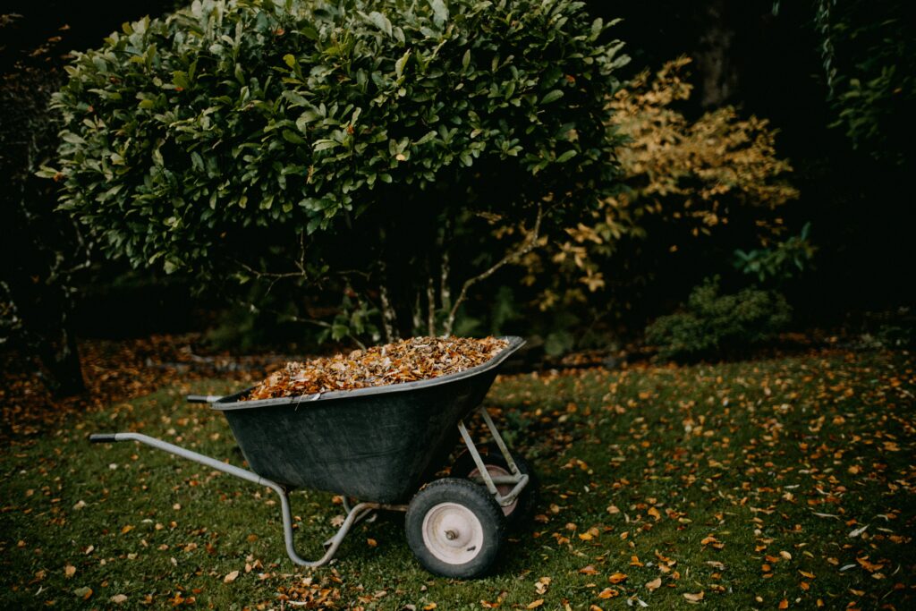 Wheelbarrow