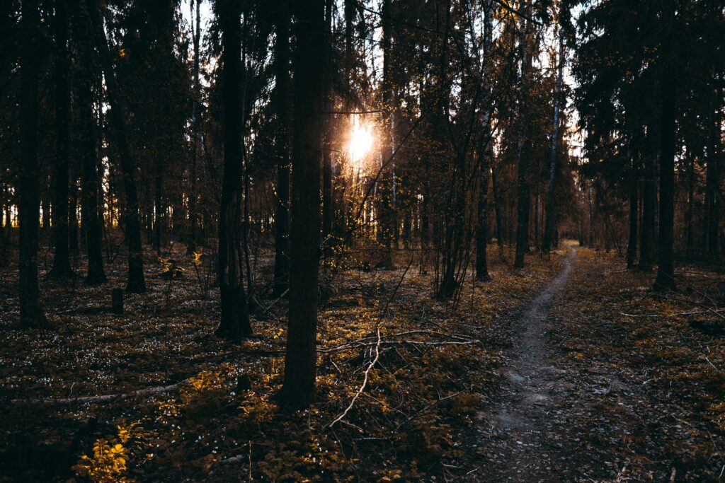 The God Who Speaks dzmitry dudov av4FK 3wYyI unsplash