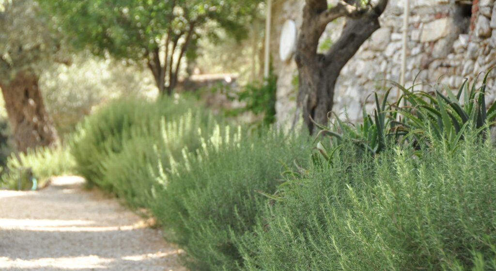 Mary lisa forkner bypI50ALYw unsplash