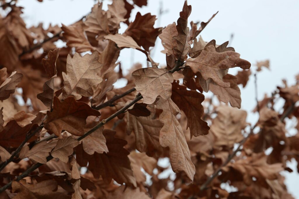 Hold On paul levesley onIxobgd7v8 unsplash