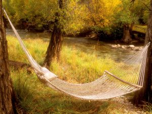 peaceful-hammock-near-stream-colorado