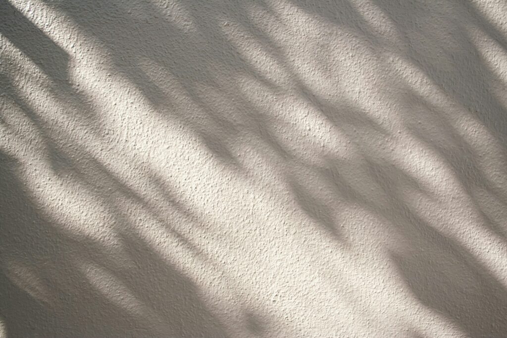 shadow stacey knipe wtph55kzILY unsplash